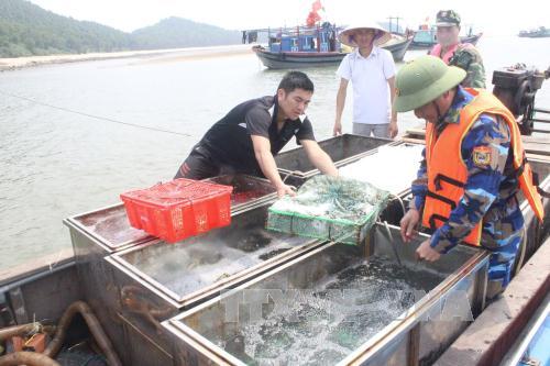 Bắt giữ vụ vận chuyển hải sản không rõ nguồn gốc